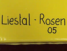 Liestal - Rosen - 05
